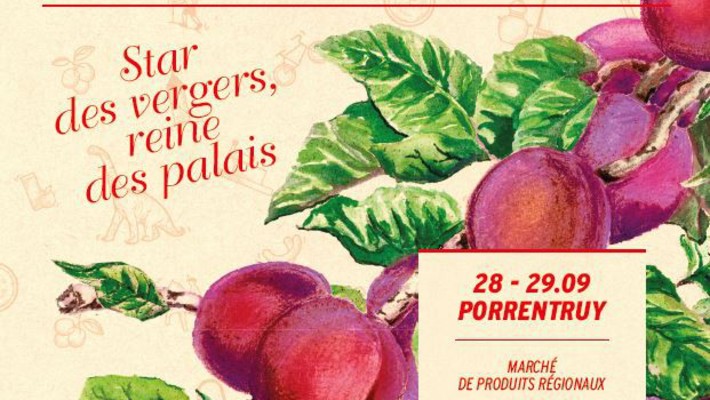 Affiche de la fête de la Damassine AOP 2024